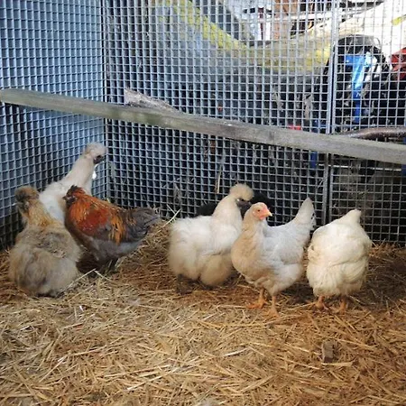 Apartment Hof Schult