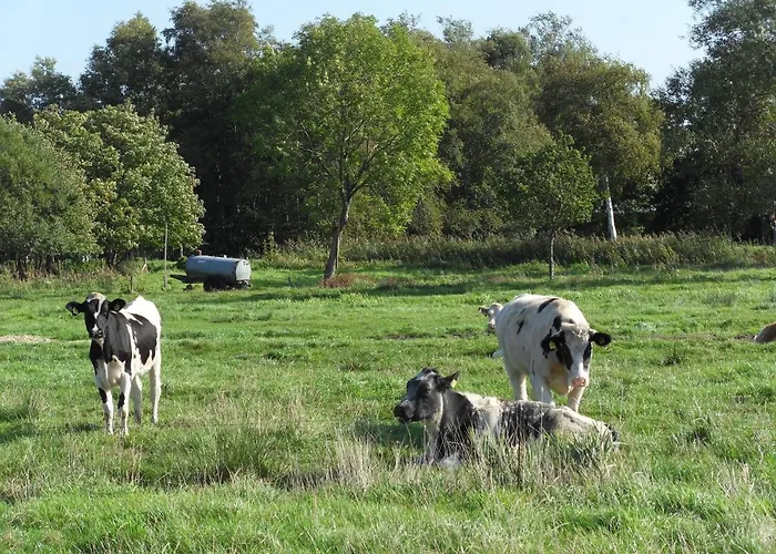 Lejlighed Hof Schult